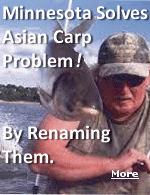 Asian carp were originally imported from Southeast Asia to help keep wastewater treatment facilities clean.  What's next? No more 'Chinese Checkers'?